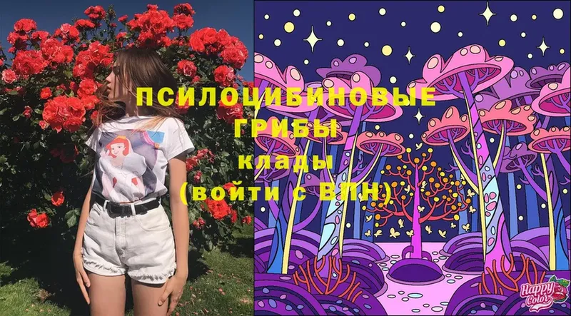 как найти   Мезень  Псилоцибиновые грибы Magic Shrooms 